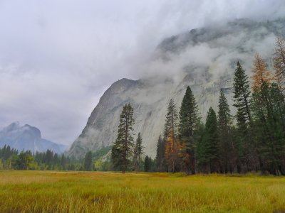 The Captain in the Mist