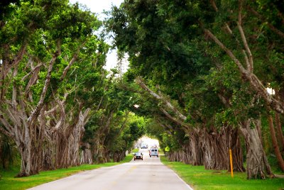 Florida_Route A1A_Hobe Sound.jpg