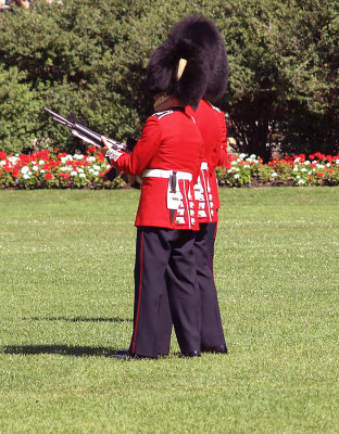 HM RMC Guard.jpg