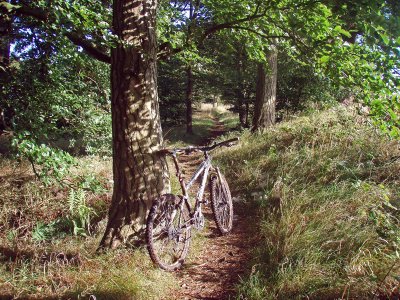 Pentlands 12/09/2009