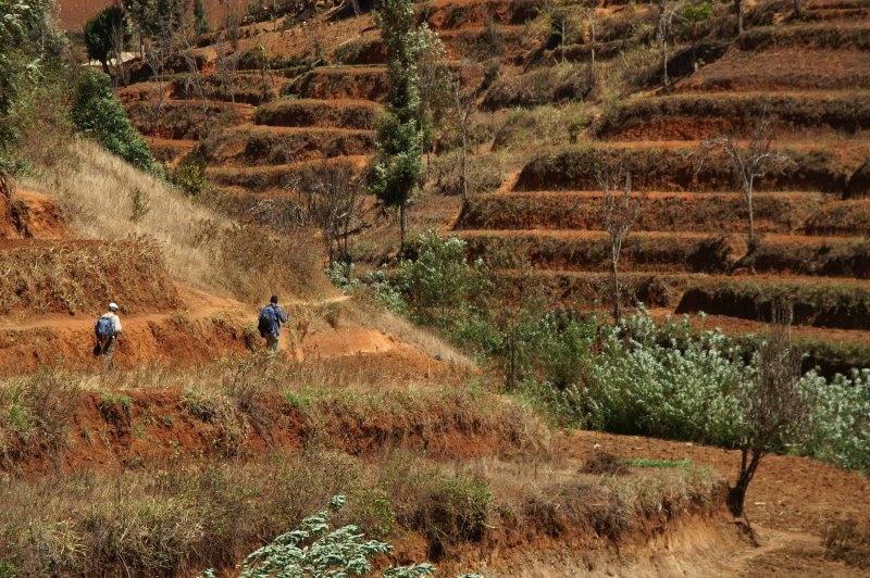 Terraces