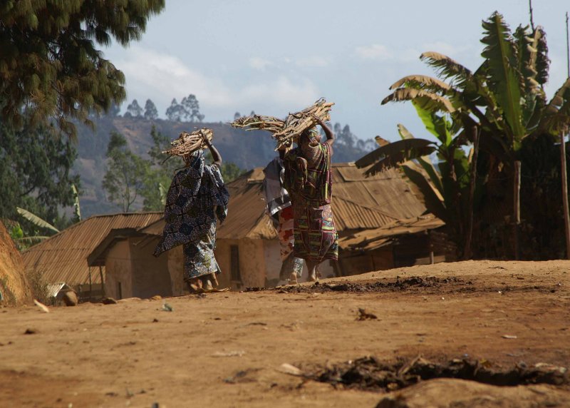 Carrying Firewood