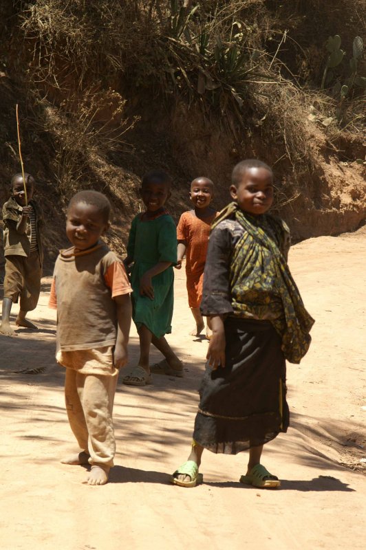 Hiking in the Usambara Mountains