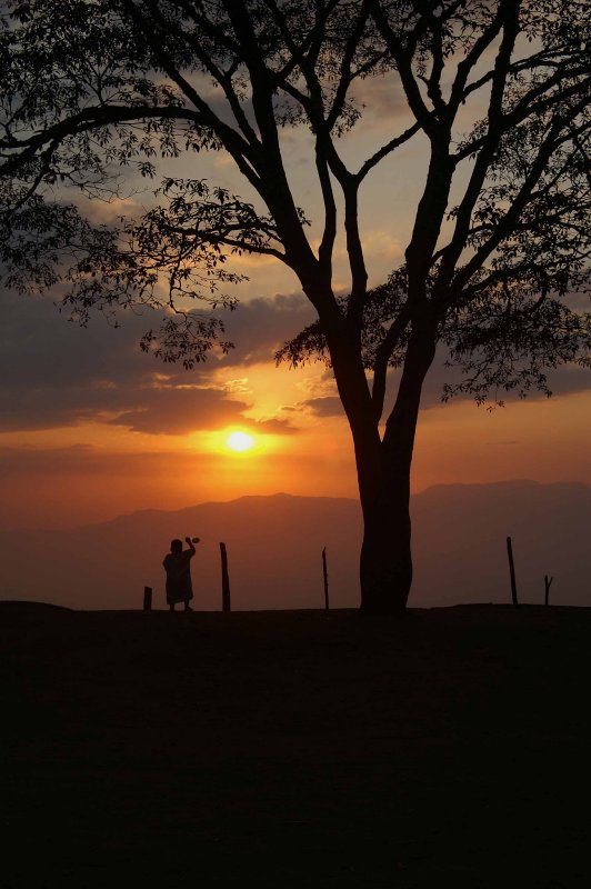 Basic Usambara