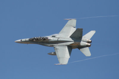 Hornet 4 resized.jpg