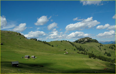 verso passo goma