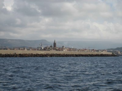 Alghero et ses grues peu portuaires