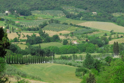 View from walls - San Gimignano