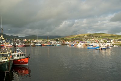 Dingle Harbour