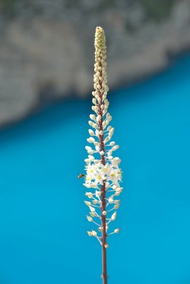 DSC_4235.jpg