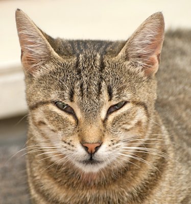 DSC_4643.jpg