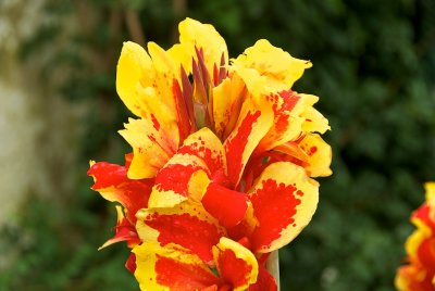 DSC_8680.jpg