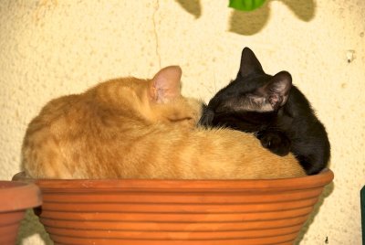 DSC_8935.jpg