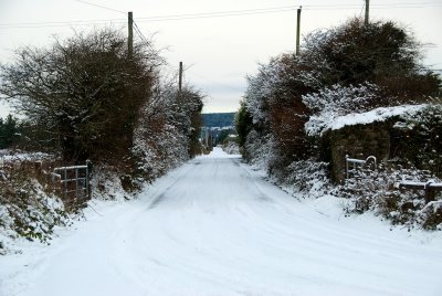 DSC_9745.jpg