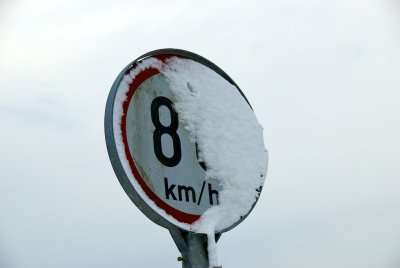 DSC_9748.jpg