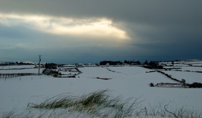 DSC_9752.jpg
