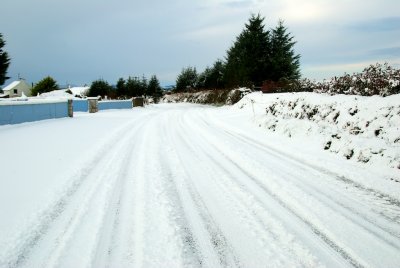 snowy