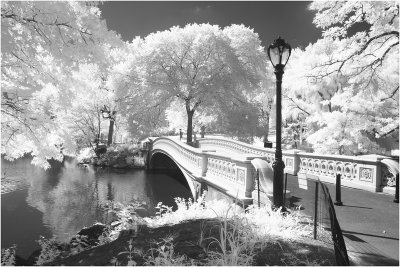 New York....New York