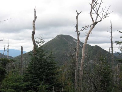 mount colden from cliff