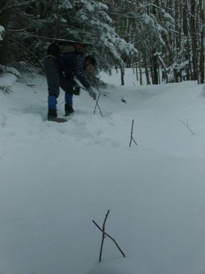 g1/22/809722/3/107320711.ZhYKrRlx.jpg