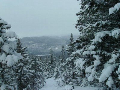 g1/22/809722/3/107320714.uTuv2YTH.jpg