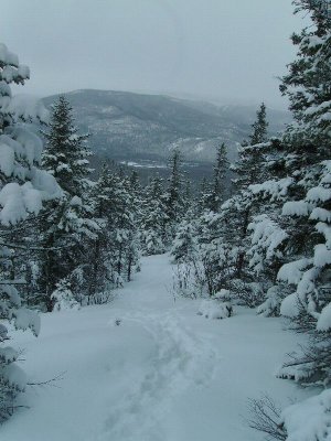 g1/22/809722/3/107320715.Vgorg42e.jpg