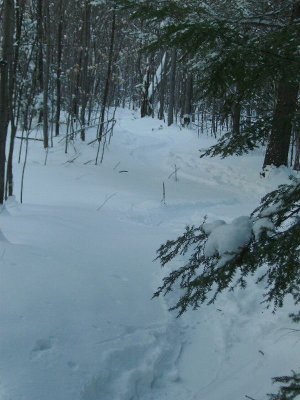 g1/22/809722/3/107320723.eLUIyjTm.jpg