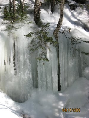 Ice formation 2.JPG