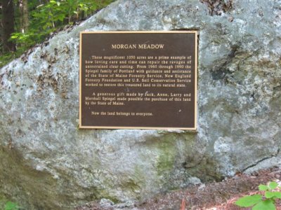 Morgan Meadows