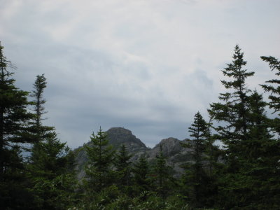 g1/22/809722/3/116638997.cbdUBrbg.jpg