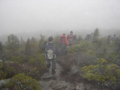 g1/22/809722/3/118332650.p7e1zLut.jpg