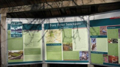 Fore River Sanctuary hike 12-19-10