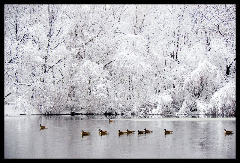 IMG_7600W.jpg