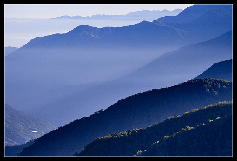 Alishan 阿里山
