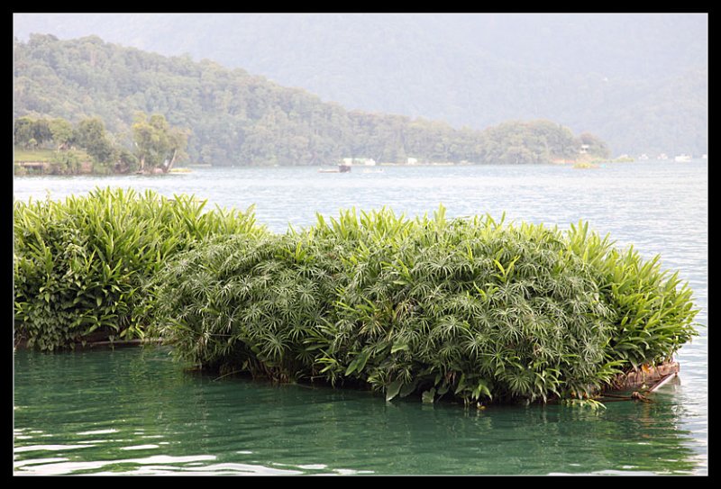 Sun Moon Lake