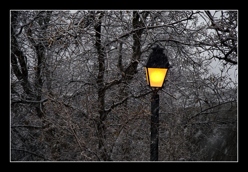 Warm Light