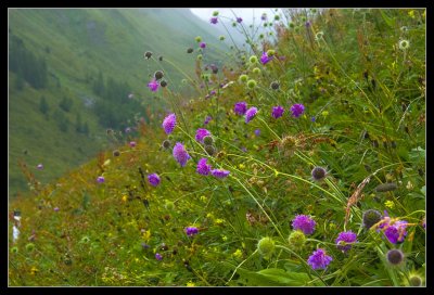 Hohe Tauern National Park, Austria