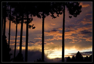 Alishan Sunset