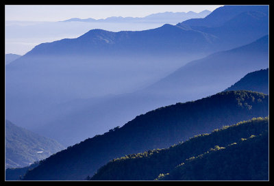 Alishan 阿里山