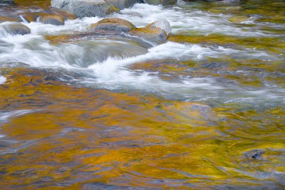 Mountain Stream
