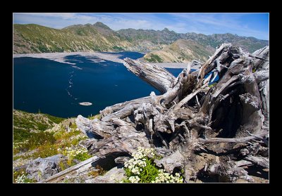 Mount St Helens