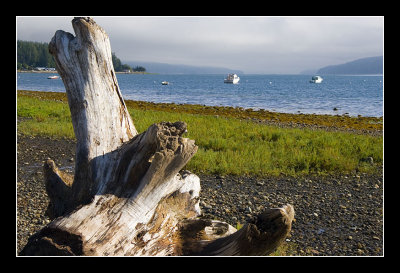 Olympic National Park