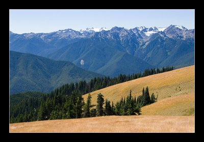 Hurricane Ridge