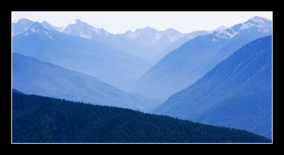 Blue Mountains