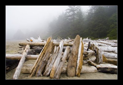 Driftwood