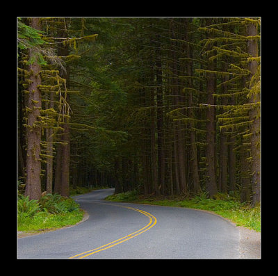 Olympic National Park