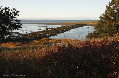 pointe ouest 8158.jpg