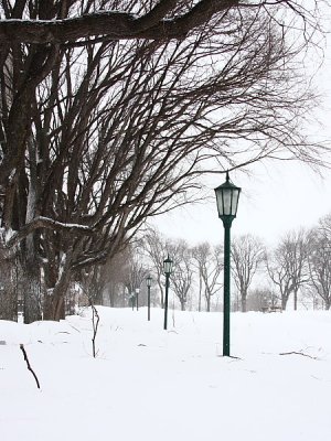 Le parc Jeanne-d'Arc