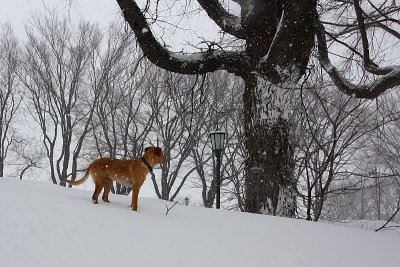 Autour du parc Jeanne-d'Arc
