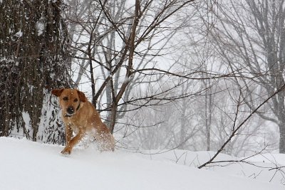 Moi j'aime a l'hiver!!!!